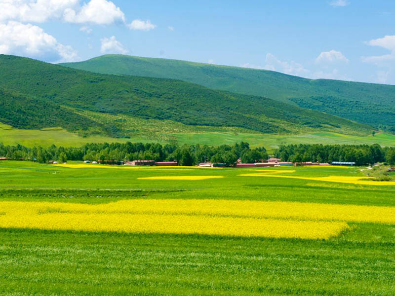 高精度土壤養(yǎng)分檢測儀多少錢一臺(tái)